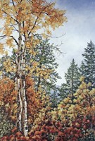 Autumn Splendor Fine Art Print