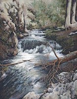 Clear Creek Fine Art Print