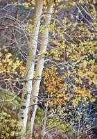 Color of Autumn Fine Art Print