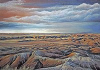 Desert Rain Fine Art Print