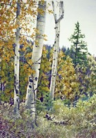 Edge of the Forest Fine Art Print