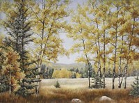 Fall Meadow Fine Art Print