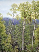 Forest Road Aspen Fine Art Print