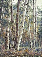 Grace & Maturity Fine Art Print