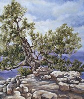 Grand Canyon Rim Fine Art Print