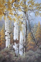 Misty Morning Fine Art Print