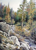 Mountain Rapids Fine Art Print