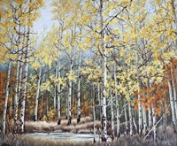 New Aspen Grove Fine Art Print