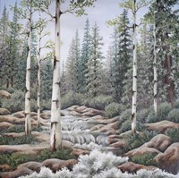 Summer Stream Fine Art Print