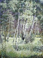 Sunlit Meadow Fine Art Print