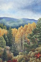 The Colors of Fall Fine Art Print