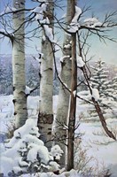 Winter Snow with Aspen Fine Art Print