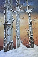 Winter Sunset Fine Art Print