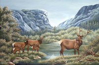 High Meadow Yosemite Fine Art Print