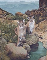 Last Year Fine Art Print