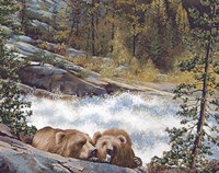 That Was A Good Salmon Fine Art Print