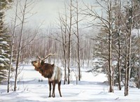 Valley Of The Utes Fine Art Print