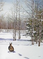 Winter Rabbit Fine Art Print