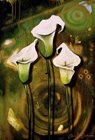 Arum Lilies Fine Art Print