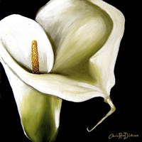 Arum Lily Ii Fine Art Print