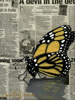 Butterfly On My Newspaper Fine Art Print