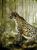 Cheetah Fine Art Print