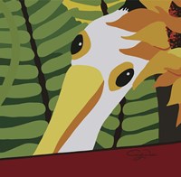 Peeping Pelican Fine Art Print