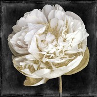 Gilda I Fine Art Print