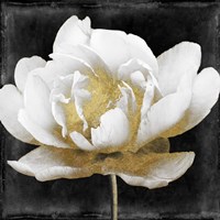 Gilda II Fine Art Print