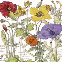 Ambrosia 1 Fine Art Print