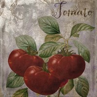 Medley Gold Tomato Fine Art Print