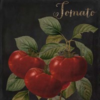 Medley Tomato Framed Print