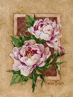 Peony Fresco Fine Art Print