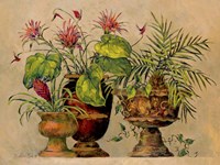 A Taste of the Tropics Fine Art Print