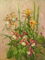 Exotics Collection I Framed Print