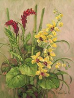 Exotics Collection II Framed Print