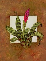 Tropical Squares 1 Framed Print