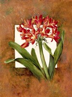 Tropical Squares 2 Framed Print