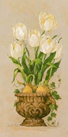 Bulbs in Bloom I Fine Art Print