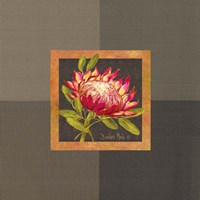 Tropical Treasures I Fine Art Print