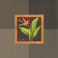 Tropical Treasures II Fine Art Print