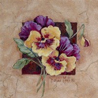 Pansy Square Framed Print