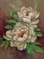 White Peonies II Fine Art Print