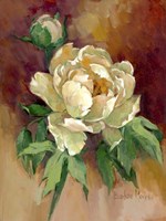 White Peonies I Fine Art Print