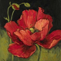 Poppy Blossom I Fine Art Print