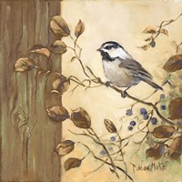 Chickadee Square II Fine Art Print