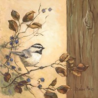 Chickadee Square I Fine Art Print