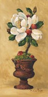 Magnolia Topiary II Fine Art Print