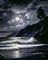 In Black & White Fine Art Print