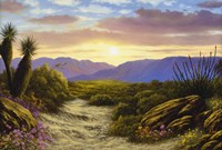 Desert Splendour Fine Art Print